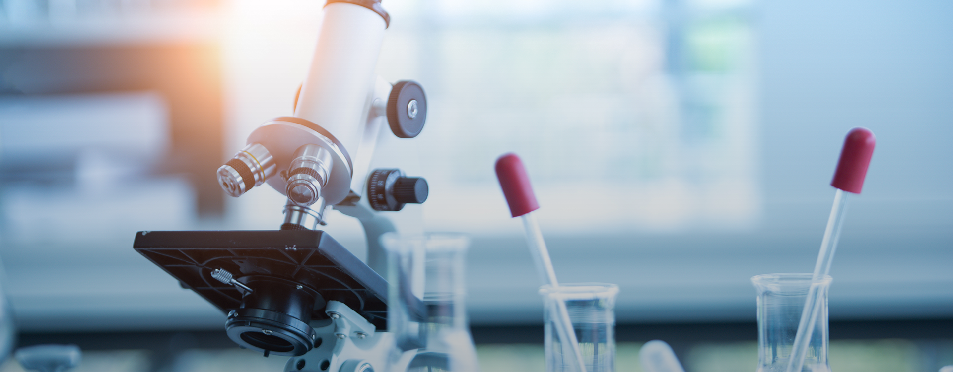 生命科技检测与质量管理